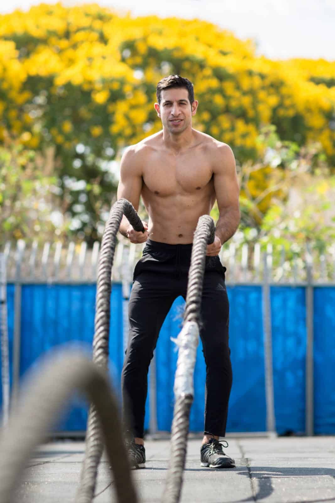 התנועה למען התנועה