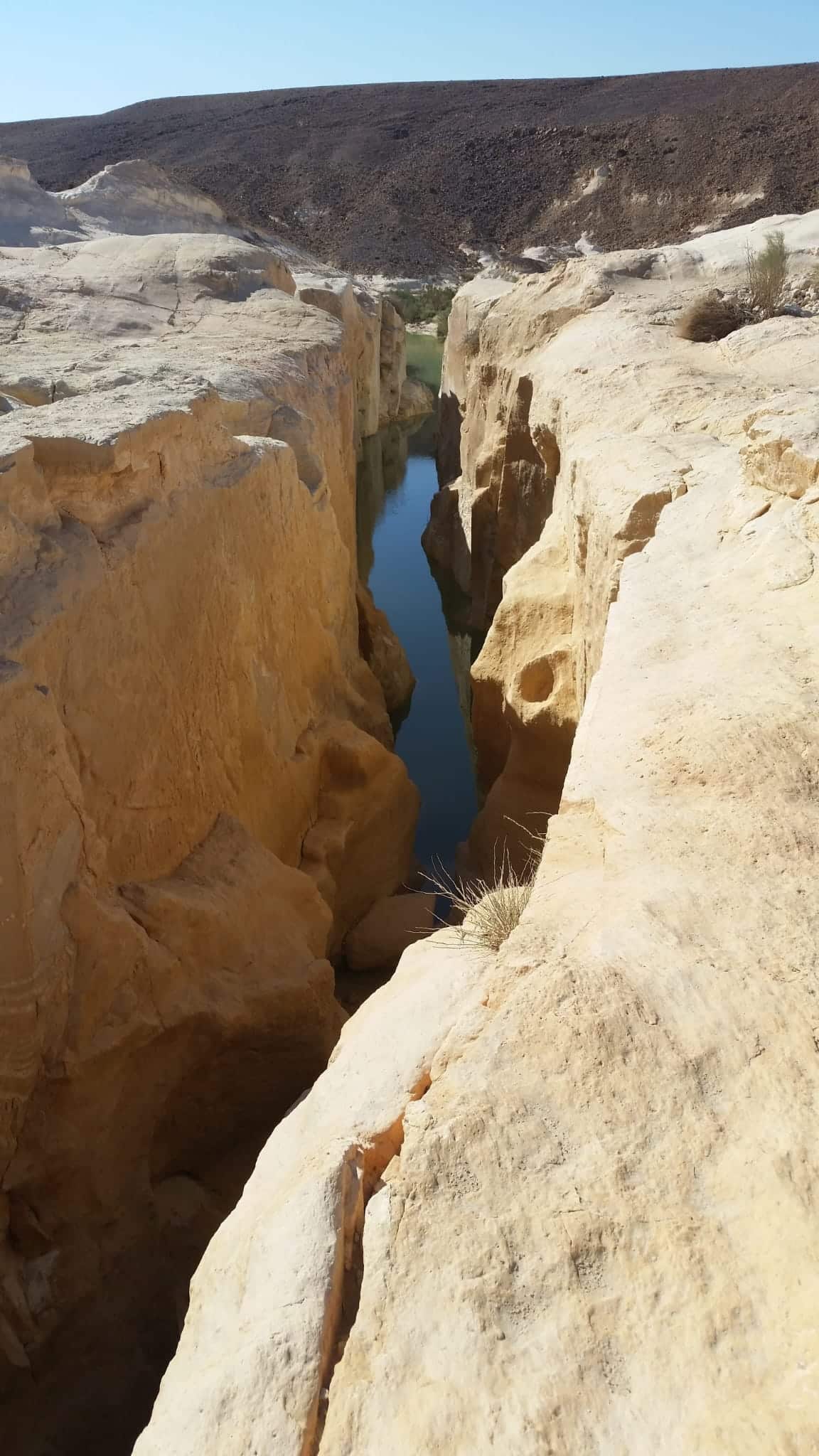 "קיבלתי במתנה ספר תנך, התחברתי והתחלתי לקרוא פרק בכל ערב"